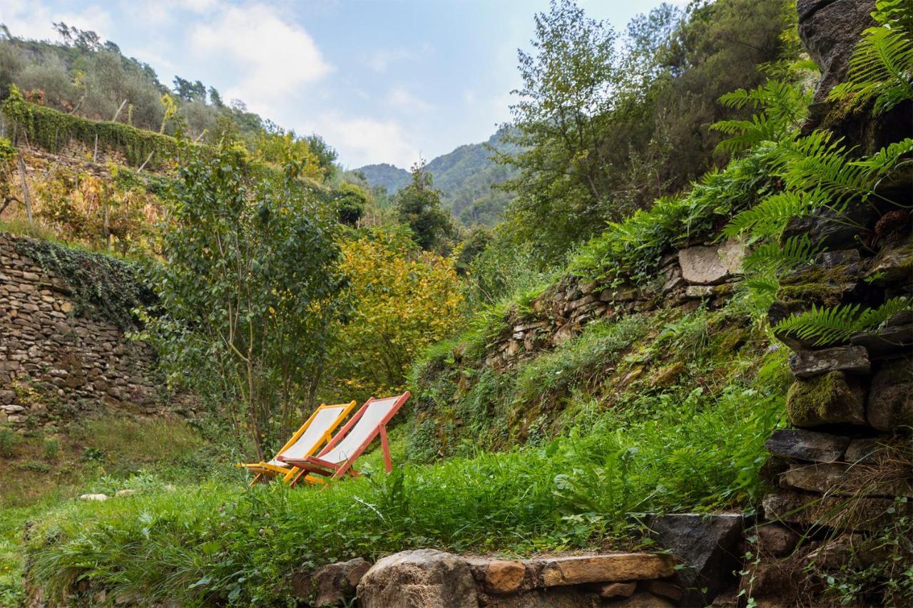 Agriturismo L'Adagio バダルッコ エクステリア 写真